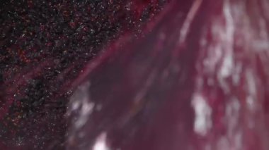 Şarap fabrikası, şarap mahzeninde şarap üretirken üzüm suyu havası, Bordeaux Vineyard, Fransa. Yüksek kalite 4k görüntü