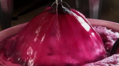 Şarap fabrikası, şarap mahzeninde şarap üretirken üzüm suyu havası, Bordeaux Vineyard, Fransa. Yüksek kalite 4k görüntü