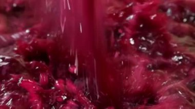 Şarap fabrikası, şarap mahzeninde şarap üretirken üzüm suyu havası, Bordeaux Vineyard, Fransa. Yüksek kalite 4k görüntü