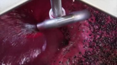 Şarap fabrikası, şarap mahzeninde şarap üretirken üzüm suyu havası, Bordeaux Vineyard, Fransa. Yüksek kalite 4k görüntü