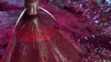 Şarap fabrikası, şarap mahzeninde şarap üretirken üzüm suyu havası, Bordeaux Vineyard, Fransa. Yüksek kalite 4k görüntü