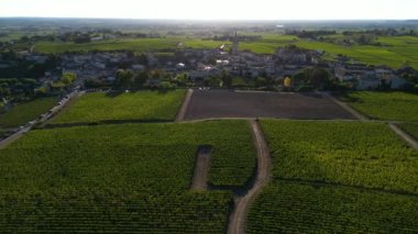 Bordeaux üzüm bağları, Saint-Emilion, Gironde Bölümü 'nün Aquitaine bölgesinde, Fransa, Avrupa, yüksek kaliteli 4K görüntü