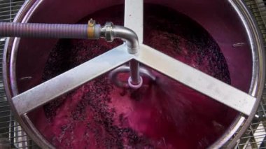 Şarap fabrikası, şarap mahzeninde şarap üretirken üzüm suyu havası, Bordeaux Vineyard, Fransa. Yüksek kalite 4k görüntü
