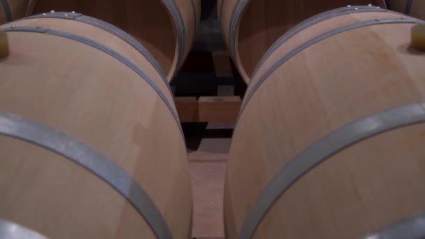 フランス サンティエミリオン 2022年10月 ワイン樽 ワインセラーの樽 サンティエミリオンワイナリー ボルドーワイナリー 高品質の4K映像 — ストック動画