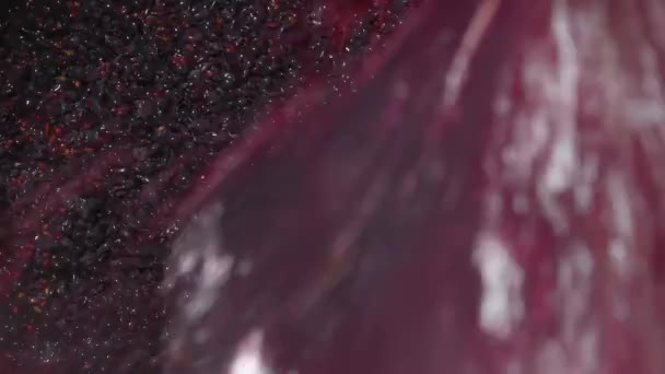 Виноробний Завод Аероація Виноградного Соку Під Час Виноробства Підвалі Бордо — стокове відео