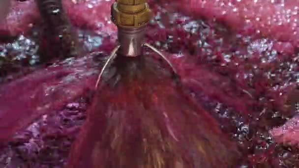 프랑스의 보르도 야드에 저장고에서 포도주를 만드는 동안의 포도즙의 고품질 — 비디오