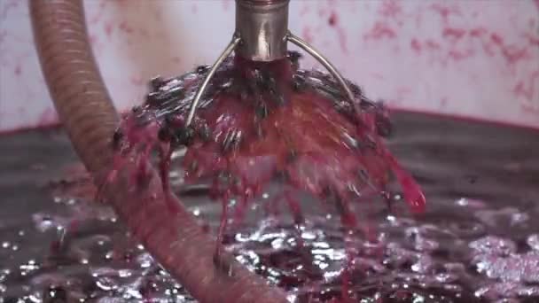 Fábrica Vino Aireación Zumo Uva Durante Elaboración Del Vino Una — Vídeos de Stock