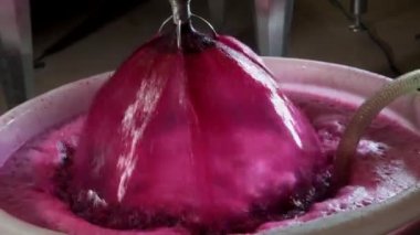 Şarap fabrikası, şarap mahzeninde şarap üretirken üzüm suyu havası, Bordeaux Vineyard, Fransa. Yüksek kalite 4k görüntü