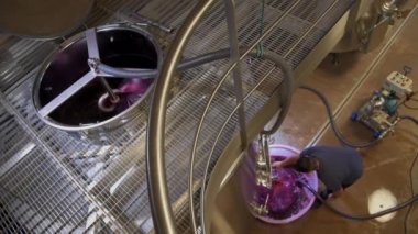 Şarap fabrikası, şarap mahzeninde şarap üretirken üzüm suyu havası, Bordeaux Vineyard, Fransa. Yüksek kalite 4k görüntü