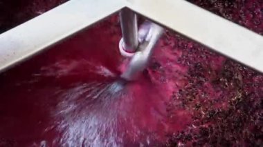 Şarap fabrikası, şarap mahzeninde şarap üretirken üzüm suyu havası, Bordeaux Vineyard, Fransa. Yüksek kalite 4k görüntü