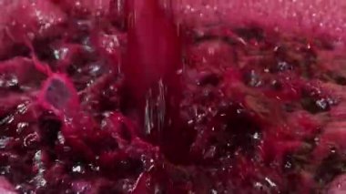 Şarap fabrikası, şarap mahzeninde şarap üretirken üzüm suyu havası, Bordeaux Vineyard, Fransa. Yüksek kalite 4k görüntü