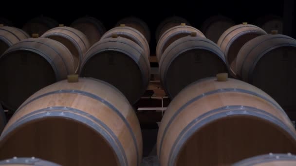 Fransa Saint Emilion Ekim 2022 Şarap Fıçıları Şarap Mahzenindeki Fıçılar — Stok video