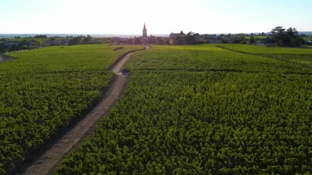 Vinhas Bordeaux Vista Aérea Saint Emilion Área Aquitânia Departamento Gironde — Vídeo de Stock