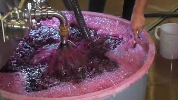 Vinotéka Aerace Hroznové Šťávy Při Výrobě Vína Sklepě Bordeaux Vineyard — Stock video