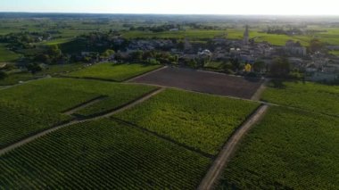 Bordeaux üzüm bağları, Saint-Emilion, Gironde Bölümü 'nün Aquitaine bölgesinde, Fransa, Avrupa, yüksek kaliteli 4K görüntü