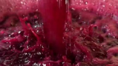 Şarap fabrikası, şarap mahzeninde şarap üretirken üzüm suyu havası, Bordeaux Vineyard, Fransa. Yüksek kalite 4k görüntü