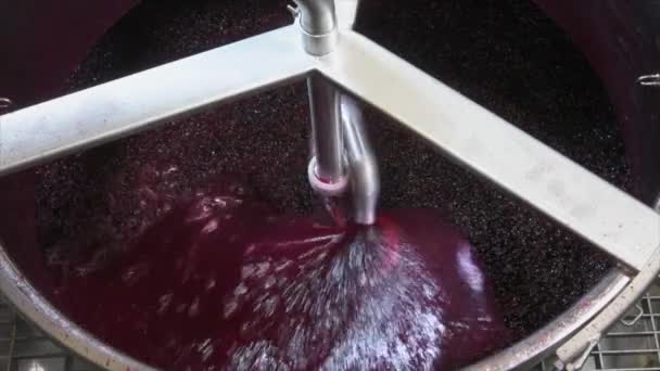 Fábrica Vino Aireación Zumo Uva Durante Elaboración Del Vino Una — Vídeo de stock