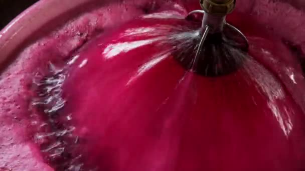 Vinfabrik Luftning Druvsaft Vinframställningen Källare Bordeaux Vineyard Frankrike Högkvalitativ Film — Stockvideo