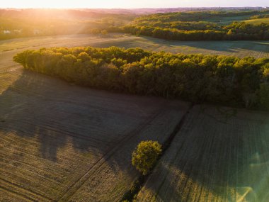 Hava manzaralı Bordeaux Vineyard ve ormanı gündoğumunda, sonbaharda drone 'un çektiği film, Entre deux mers, yüksek kalite fotoğraf