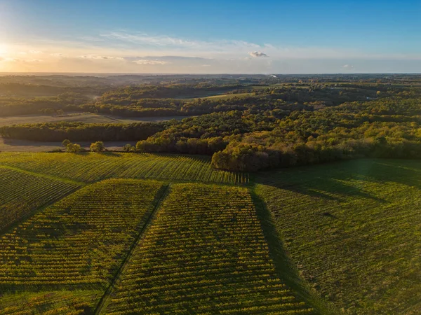 空中ビュー ボルドーワイン畑と日の出の森 秋にドローンで撮影 エントラルデュメール 高品質の写真 — ストック写真