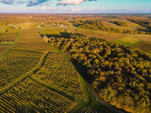 stock image Aerial view Bordeaux Vineyard and forest at sunrise, film by drone in autumn, Entre deux mers, High quality photo