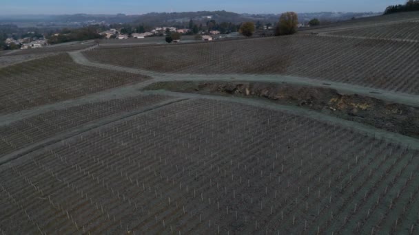 Aerial View Bordeaux Vineyard Autumn Frost Gironde France High Quality — Stock Video