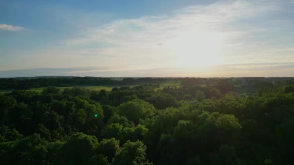 Aerial View Agricultural Countryside Forest Gironde France High Quality Footage — Wideo stockowe