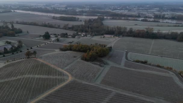 Luchtfoto Bordeaux Wijngaard Herfst Onder Vorst Gironde Frankrijk Hoge Kwaliteit — Stockvideo