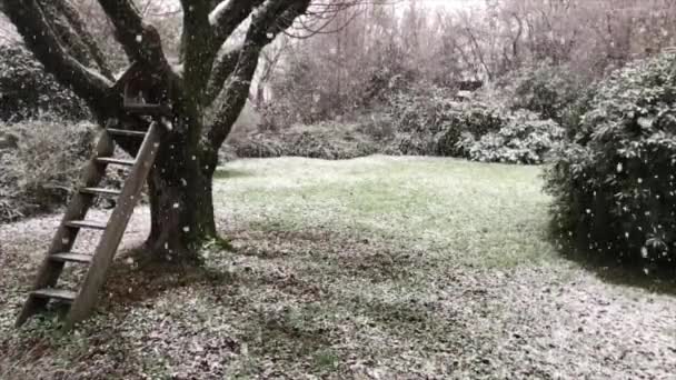 冬の庭に降る雪 フランス スローモーション 高品質の4K映像 — ストック動画