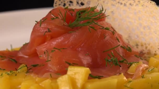 用芒果汁和白醋调料配制鲑鱼肉桂 优质4K视频 — 图库视频影像