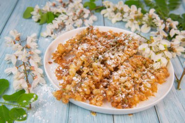 Akasya çiçekli börek, yapraklı akasya, Robinia psödoacia, beyaz akasya, yüksek kaliteli fotoğraf