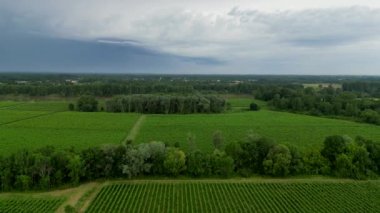 Baharda Bordeaux üzüm bağları üzerinde fırtına bulutları. Yüksek kalite 4k görüntü