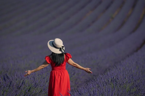落日的时候 穿着红裙子的薰衣草花田里的女人 法国普罗旺斯高质量的照片 — 图库照片