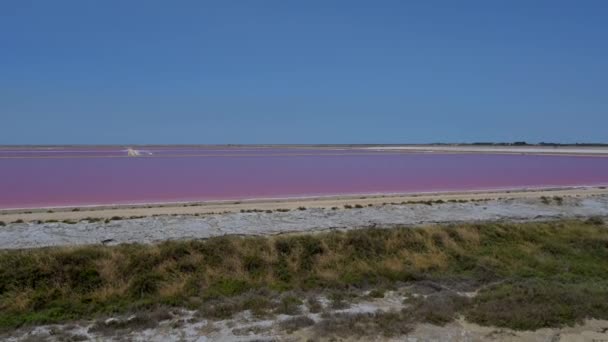 法国沙林 德吉劳德Camargue的Pink Ponds Man Made Salt Evaporation Pans Camargue 高质量的4K镜头 — 图库视频影像