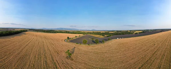 Valensole plato, lavanta tarlası, buğday tarlası ve badem ağacı Haute Alpes Provence Cote dAzur, Aerial view, yüksek kaliteli 4k görüntü