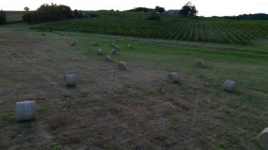Hava manzaralı Bordeaux Üzüm bağı ve yazın güneş doğarken saman balyalarıyla otlaklar, yazın drone 'lar, Entre deux merler, yüksek kaliteli 4K görüntüler.