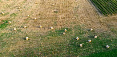 Hava manzaralı Bordeaux Vineyard ve yazın gün doğumunda saman balyalarıyla otlaklar, yazın drone 'lar, Entre deux merler, yüksek kaliteli fotoğraf