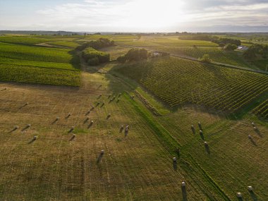 Hava manzaralı Bordeaux Vineyard ve yazın gün doğumunda saman balyalarıyla otlaklar, yazın drone 'lar, Entre deux merler, yüksek kaliteli fotoğraf