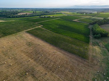 Hava manzaralı Bordeaux Vineyard ve yazın gün doğumunda saman balyalarıyla otlaklar, yazın drone 'lar, Entre deux merler, yüksek kaliteli fotoğraf