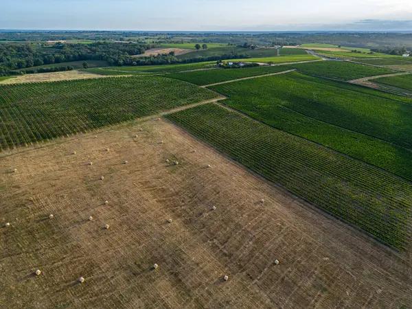 Légi Kilátás Bordeaux Szőlőbirtok Takarmánymezők Szénabálákkal Nyáron Napkeltekor Film Drónnal — Stock Fotó