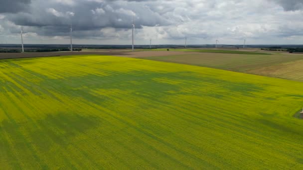 Letecký Pohled Francouzská Krajina Žluté Řepkové Pole Panorama Větrnou Turbínou — Stock video