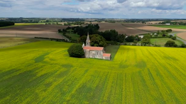 Letecký Pohled Francouzská Krajina Žluté Řepkové Pole Panorama Větrnou Turbínou — Stock video