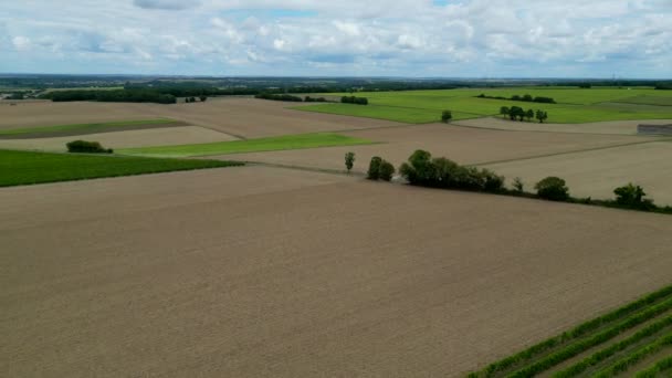 Letecký Pohled Charentes Námořní Oblast Koňaku Vinice Koňaku Blízkosti Asnieres — Stock video