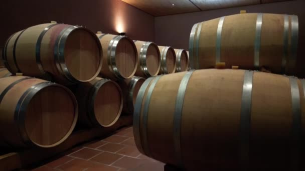 貯蔵の部屋は作り出されたワイン飲料を保持する木製樽で満たされ セラー ボルドーのワインヤード メドック 良質の4K映像で作り出されたアルコール飲料を老化させます — ストック動画