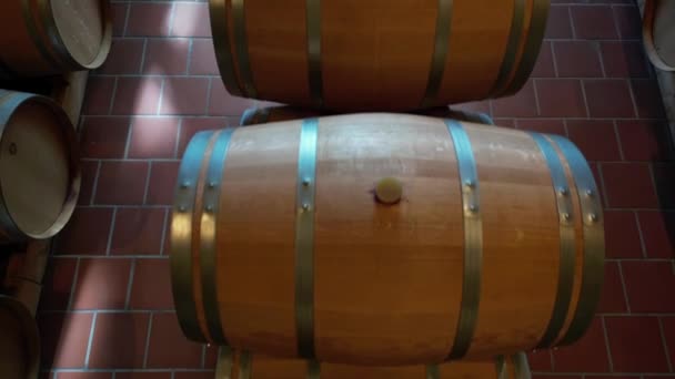 Almacenamiento Bodega Llena Barriles Madera Que Contienen Bebidas Vino Producidas — Vídeo de stock