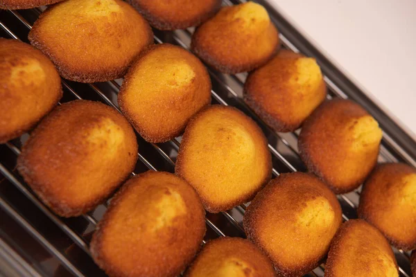 Deliziosa Torta Madeleine Una Cremagliera Dopo Cottura Aromatizzata Con Miele — Foto Stock