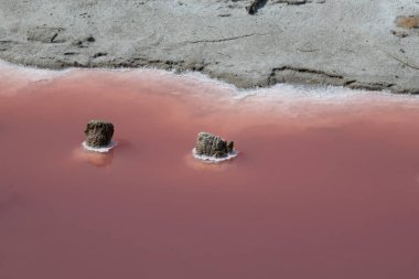 Ahşap kazıklar tuzlu ve pembe tuzlu suyla aşınmış, Camargue, Salin de Guiraud, Fransa, yüksek kaliteli fotoğraf