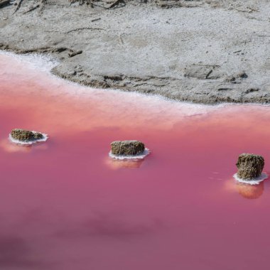 Ahşap kazıklar tuzlu ve pembe tuzlu suyla aşınmış, Camargue, Salin de Guiraud, Fransa, yüksek kaliteli fotoğraf