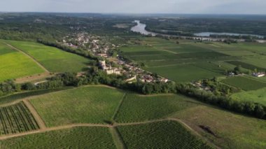 Hava manzaralı Bordeaux Vineyard, yazın insansız hava aracı tarafından çekilen film, Entre deux mers, Langoiran, yüksek kalite 4k görüntü