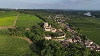 Hava manzaralı Bordeaux Vineyard, yazın insansız hava aracı tarafından çekilen film, Entre deux mers, Langoiran, yüksek kalite 4k görüntü